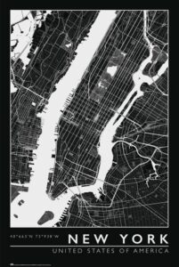 City Map (New York) Poster